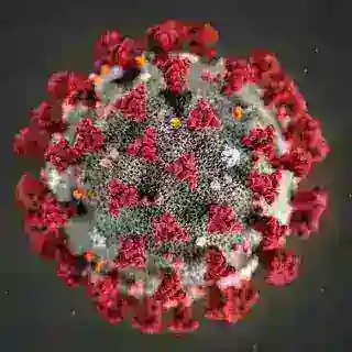 Коронавірус | Новини