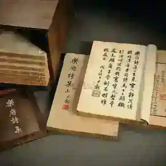 Beijing school(北京S)