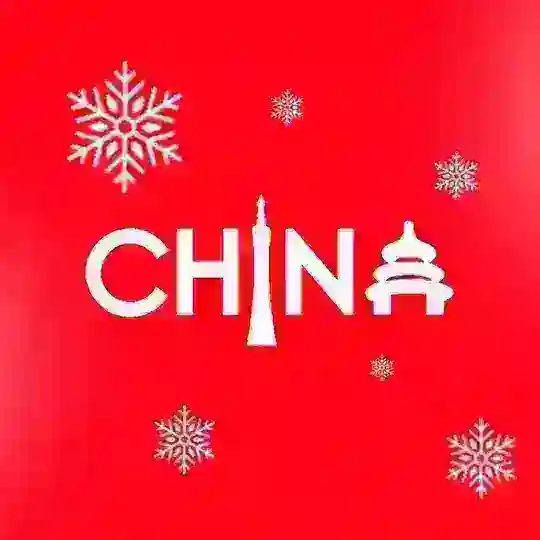 CHINA CONSULTING CENTER