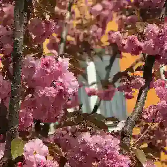 Деканат НН ВПІ