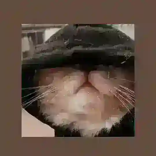 🔥ᴍɪх ᴍᴜsɪᴄ🔥