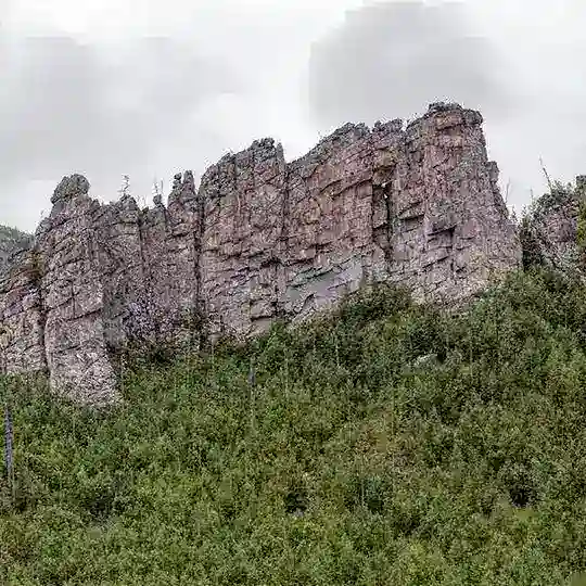 Будни главы