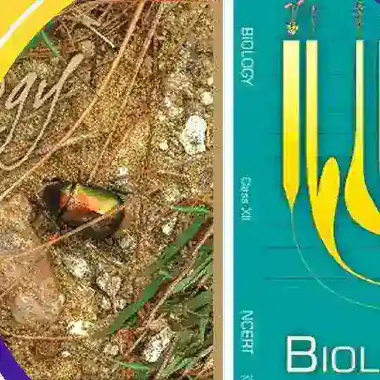 BIOLOGY NOTES | STUDY MATERIAL l Allen notes | kota notes | Neet notes | Toppers notes |Biology Books