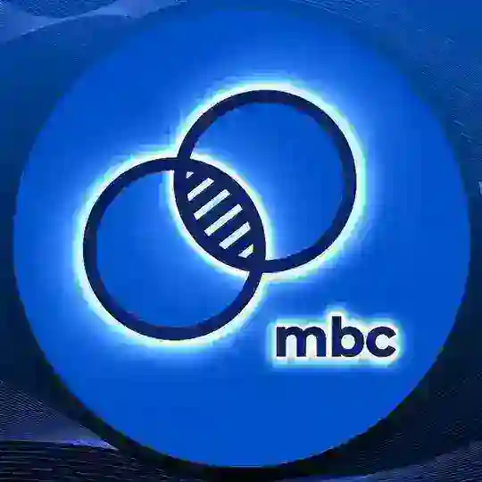 Almaty Math Battles / AMB 2025