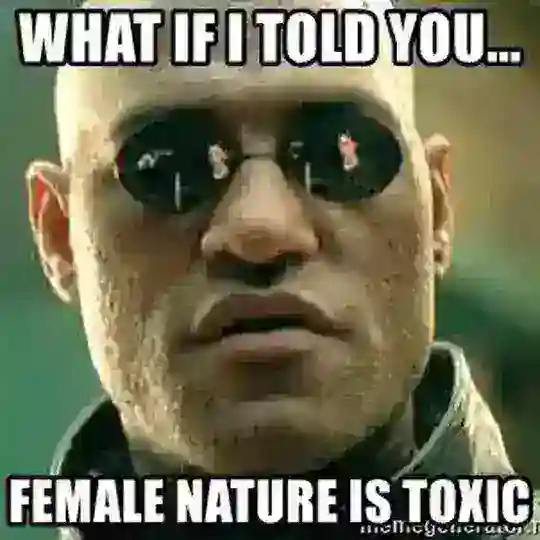 Red Pill Mentalität