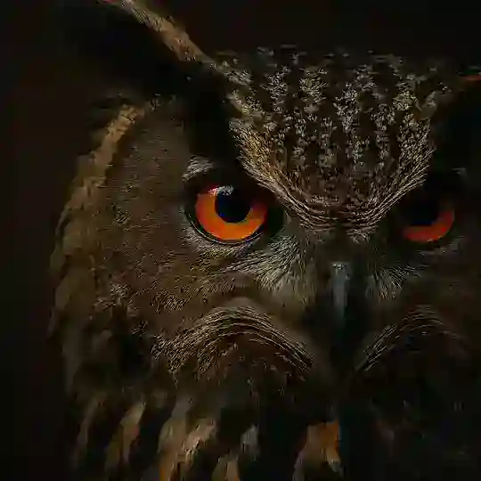 Бдящий Филин — Школа. Вуз. Наука.