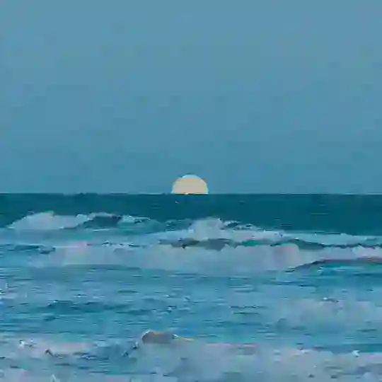 море в груди