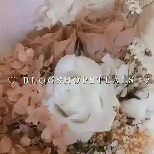 *:.｡. 𝐛𝐥𝐨𝐠𝐬𝐡𝐨𝐩𝐬𝐭𝐞𝐚𝐥𝐬 ♡🦋🤍