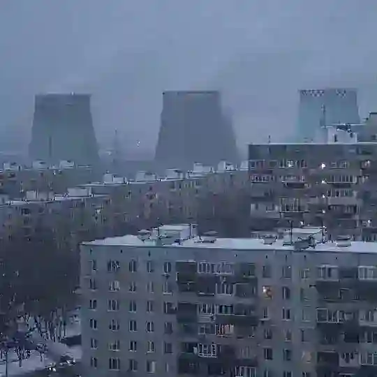 Дора и книжки