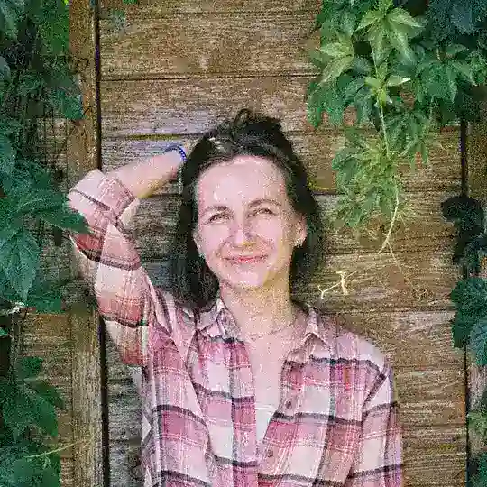 Книги, коты, тепло