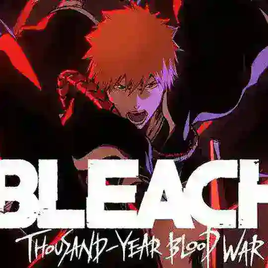 Bleach IN Hindi Dubbed