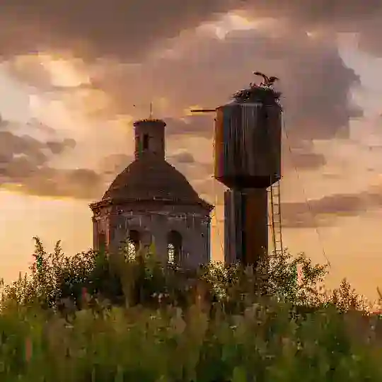 Елена Ефимова. Фотограф