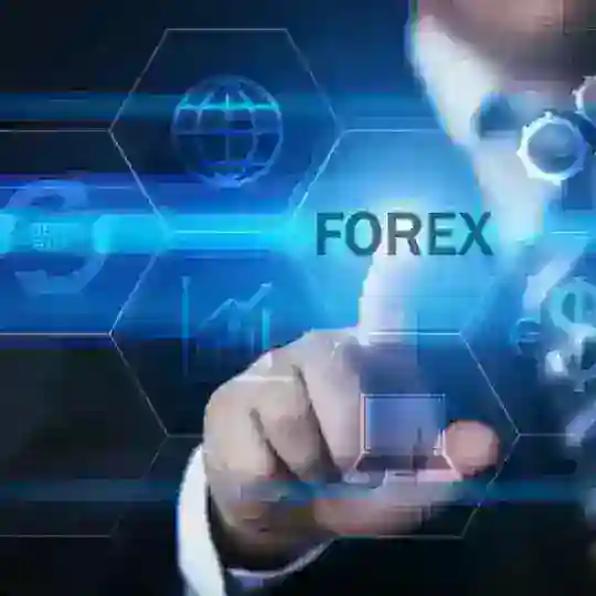 Focal Community Group (FXSignals)