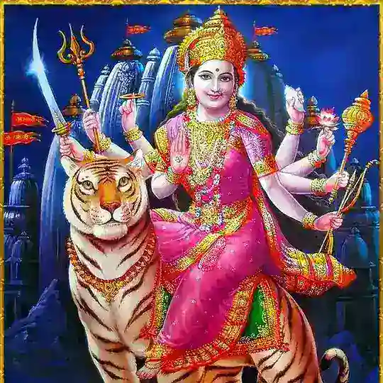 SHIVA SATTE KA EXPERT