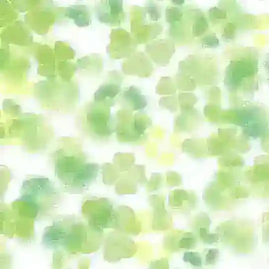 ily’s locket .☘︎ ݁˖