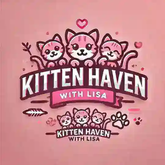 🥰Kitten Haven with Lisa💋🐈