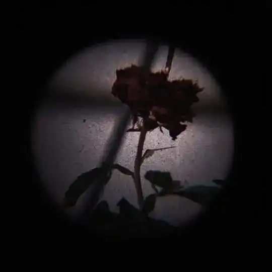 Motivational |QUOTES☂️