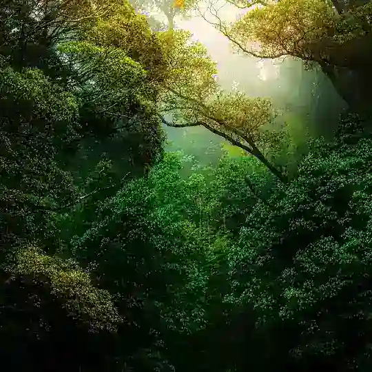 Nature Landscape Animal Photography Videos - TikTok Backup by AppleEditing [Mountains / Glaciers / Oceans / Switzerland]