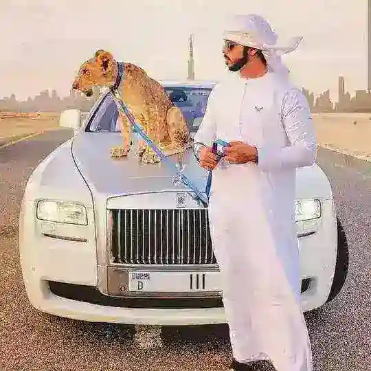 PATHAN DUBAI™🔝