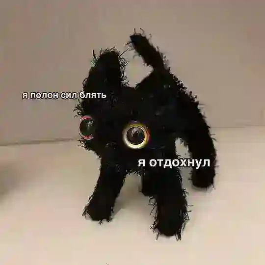 SEOлапки - как заставить кота сеошить