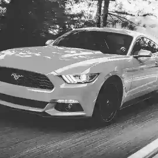 Whatsapp status ✨❤️