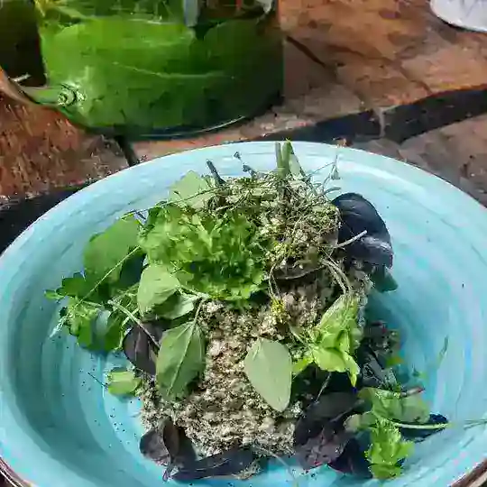 Вкусы Виштынецкой возвышенности