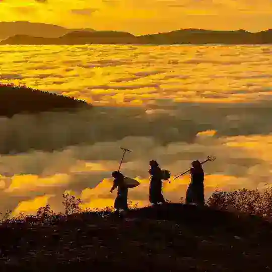 Blockchain jobs (inflow)