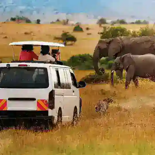 @Epanoui_Vibes_Safaris_ltd 🇺🇬🇺🇬🔥🔥✈️🏕⛺️🏕🛳✈️