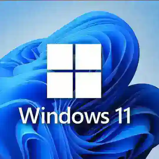 Windows11 optimized versions - Preinsalled Runtimes & Common softwares