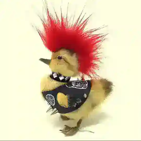 ⋆˚𖦹evilhagz⋆˚꩜｡