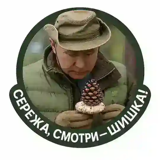 СЕРЁЖА, СМОТРИ — ШИШКА!