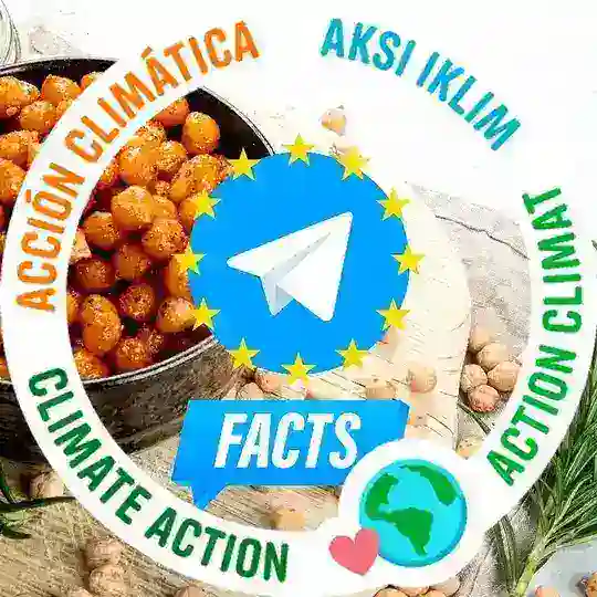 Fakten über die vegane Ernährung / Tierschutzrecht / Die Militante Veganerin by NatureFreaks / Swisssthetics / Rationalfood