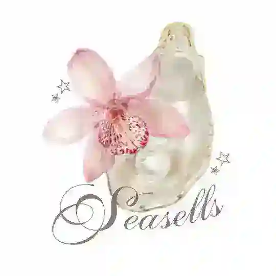 seasells 𓆝⋆.˚𓇼