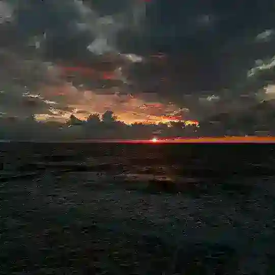 Free РЕКЛАМА 🕊️