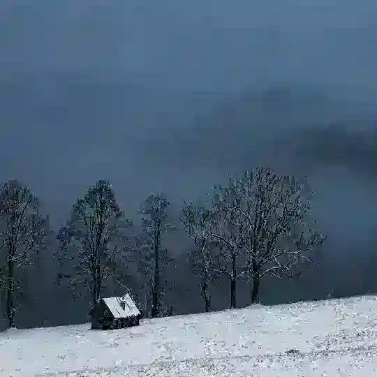 Пиар Чатов Каналов | ВП и Ссылки