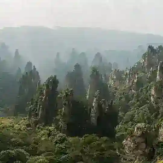 Чжанцзяцзе Туристический Китай Чат Улиньюань Фужун Фэнхуан Горы Аватара Zhangjiajie 张家界国家森林公园