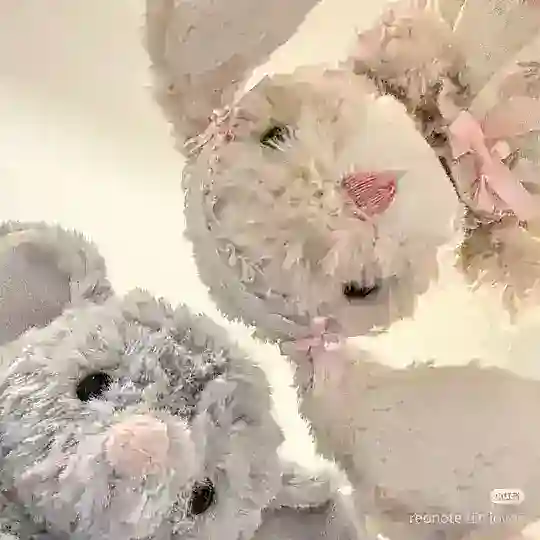 𝓵'𝓼 brandy 🎀