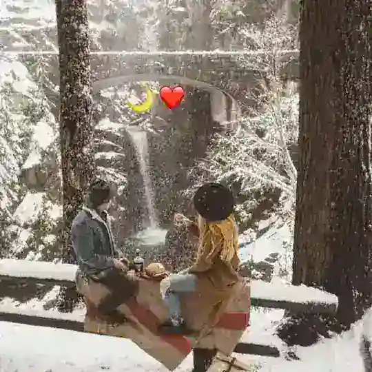 𝟸𝟶𝟸𝟷 ʏᴀɴɢɪ ʏɪʟɢᴀ ᴏᴢ ǫᴏʟᴅɪ