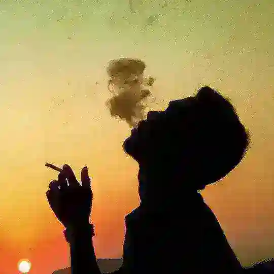 𝐀𝐢𝐫𝐥𝐢𝐧𝐞𝐬 𝐓𝐋 ㅤ✿