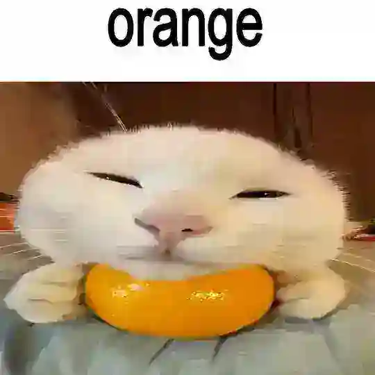 Orange 😍 ПЕРЕЕЗЖАЕМ. НОВЫЙ ЧАТ - @beseda_vau