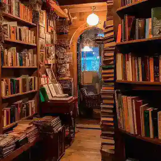 🤍𝒃𝒊𝒃𝒍𝒊𝒐𝒇𝒊𝒍𝒊𝒂🤍