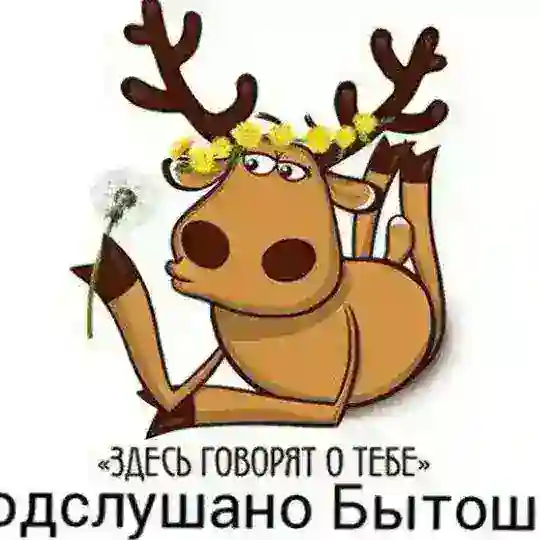 Подслушано Бытошь