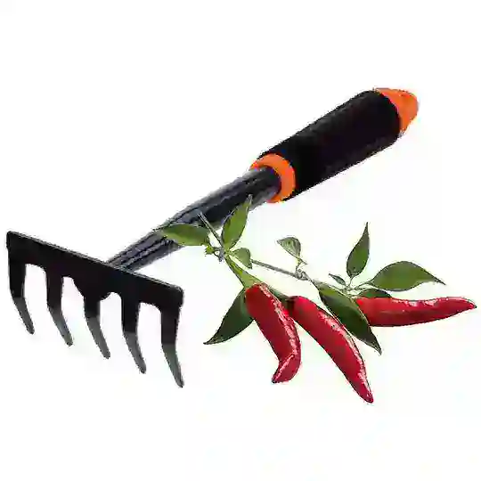 Coltivazione & Consigli