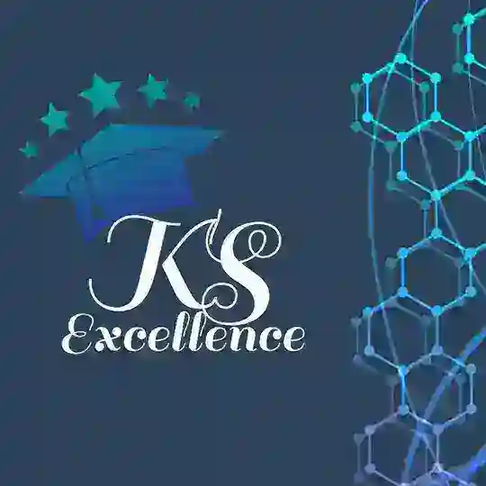KS EXCELLENCE ( ICSI)