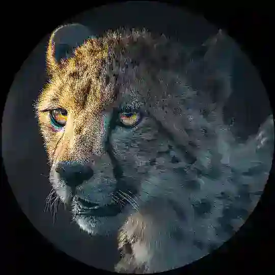 Deutsche Furries Ltd. (SFW)