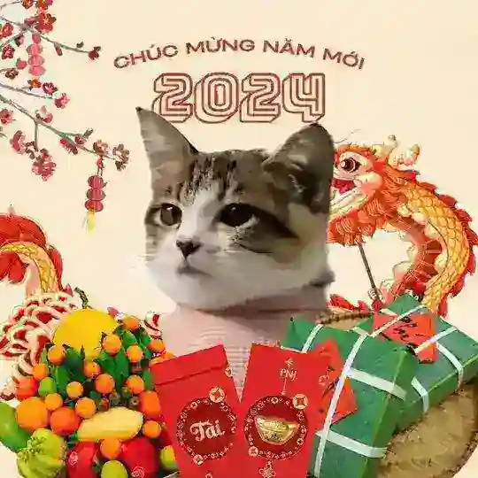 Đón Tết 2025 ! 🧧🧨🎊🍀🎉🎇🎆