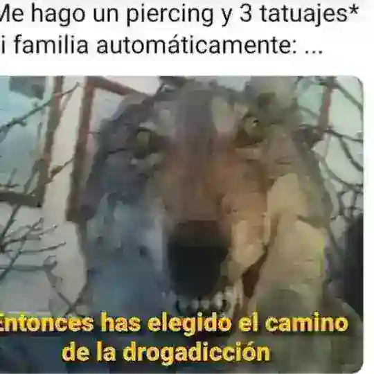 GALLEROS OFICIAL 𐐘 ඞ