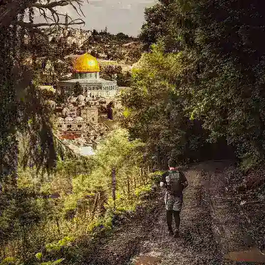 Israeli Occupation Crimes (IOC) 💬