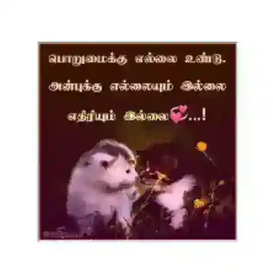 TN🤍அன்பு❤️தமிழன்