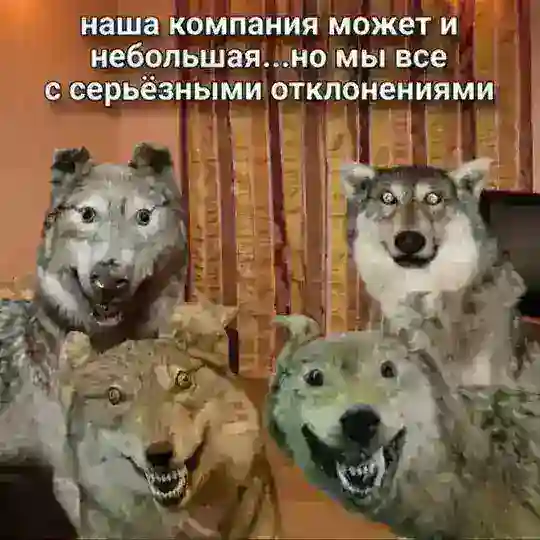 HEAD_SHOT-Fun😁 (Инфа по стримам)